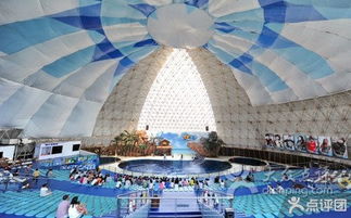 中國國旅國際旅行社 引領(lǐng)國際旅行新篇章，鑄就品質(zhì)出行典范